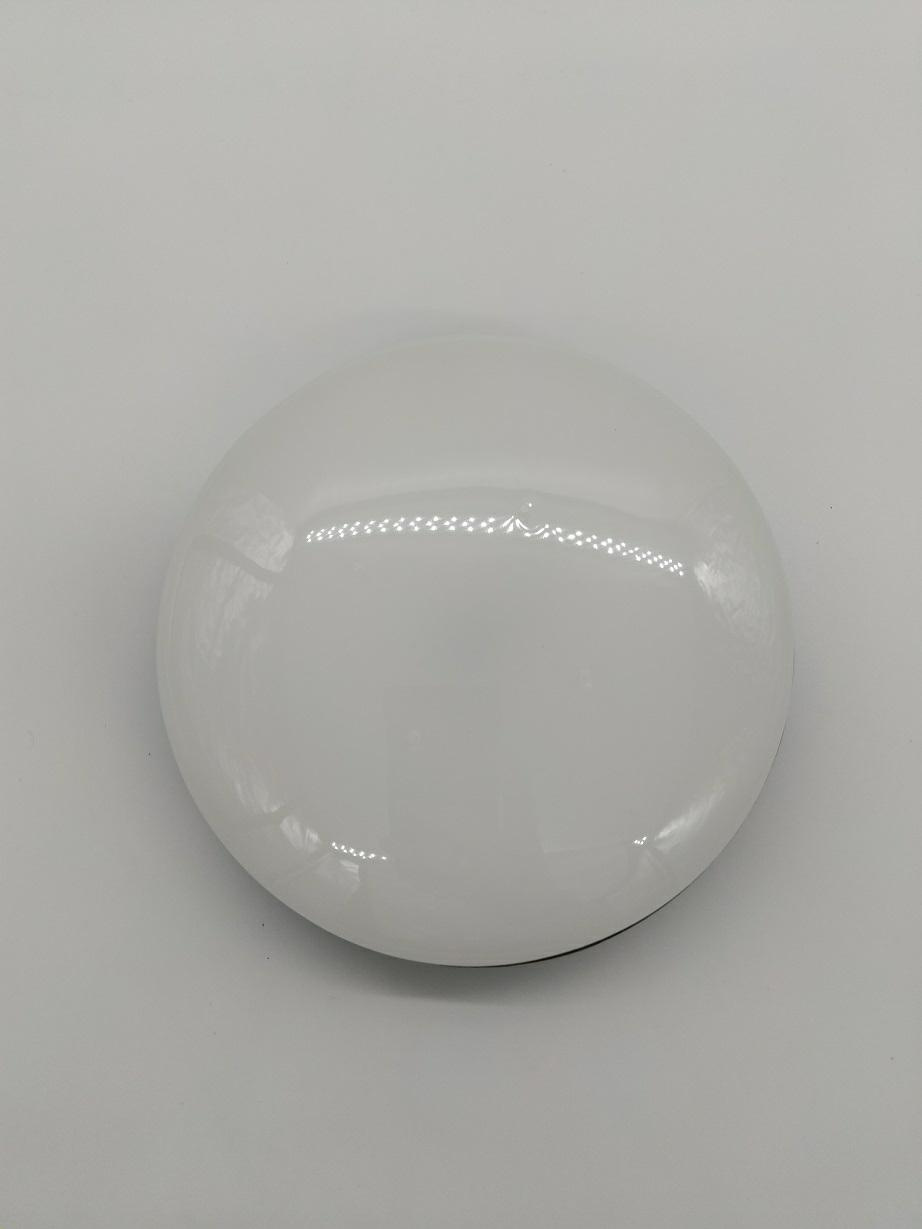 ROLLINGDOG, Latarka LED powerbank 4500 mAh USB C IP2003 INDIAN PROFESSIONAL (IP2003) White globe LED bulb resting on a plain surface, spherical and smooth with a frosted finish